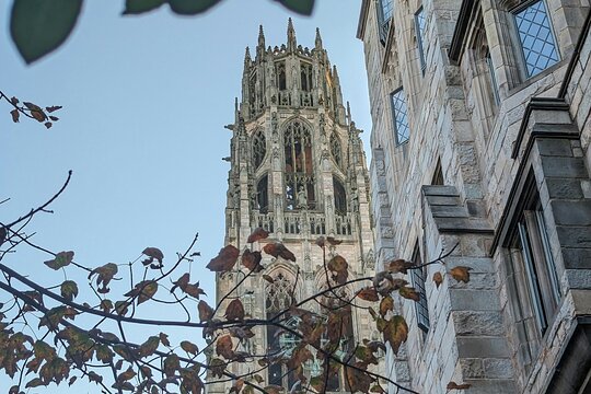 Tour image 8